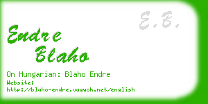 endre blaho business card